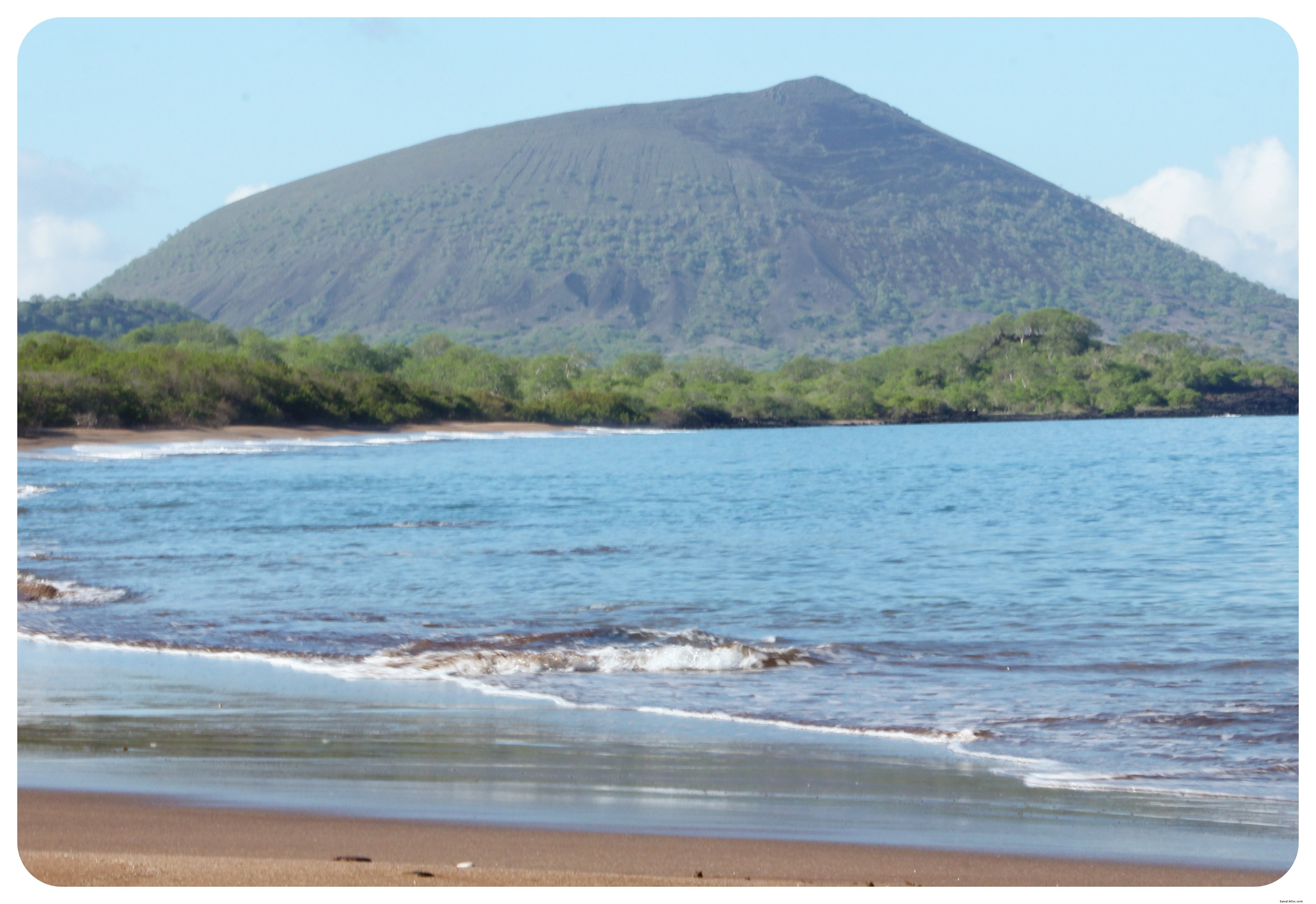 Les îles Galápagos :quinze choses à savoir avant de partir