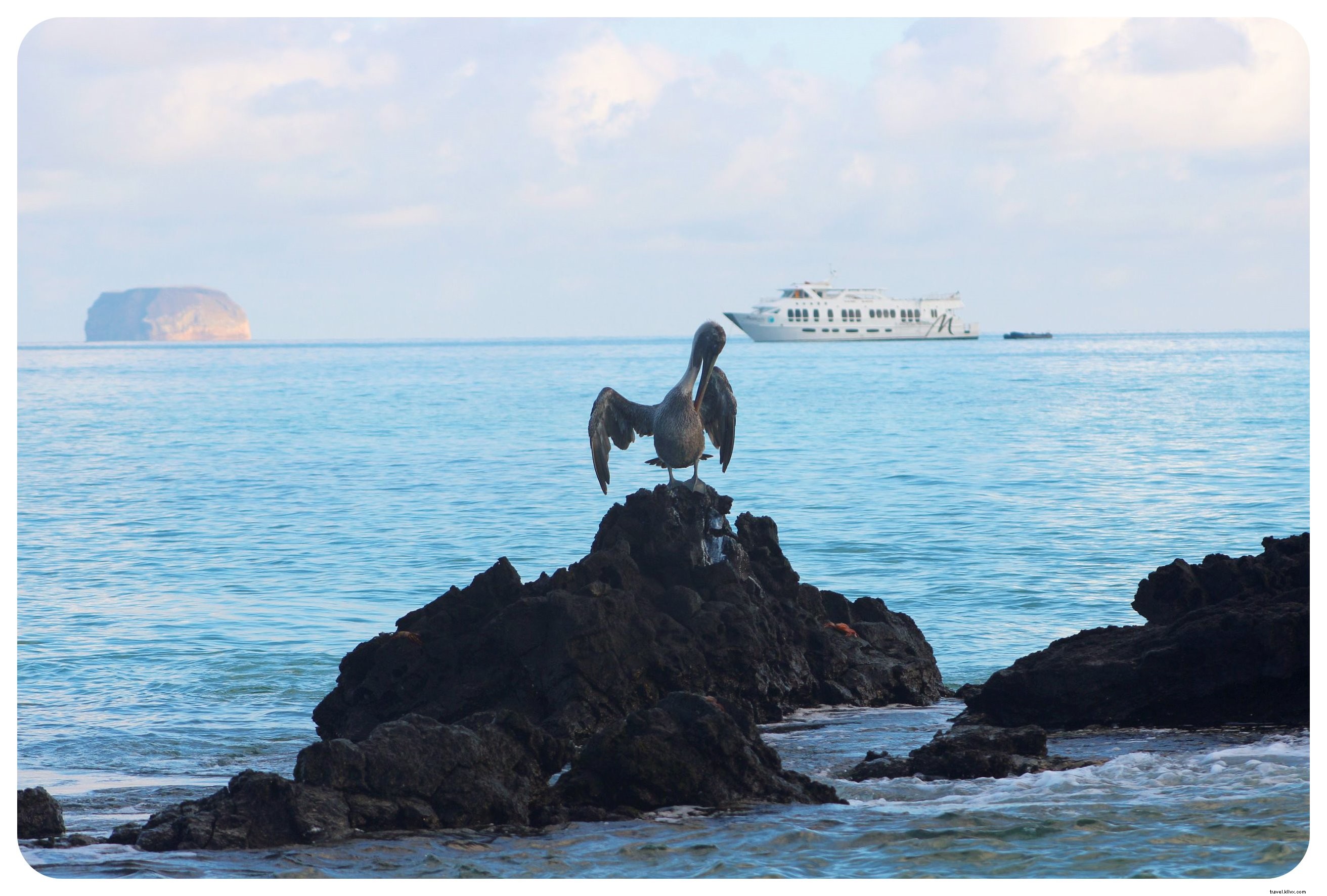 Ilhas Galápagos:quinze coisas a saber antes de ir