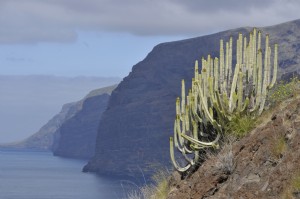 Las Siete Islas Canarias:Grandes escapadas de vacaciones