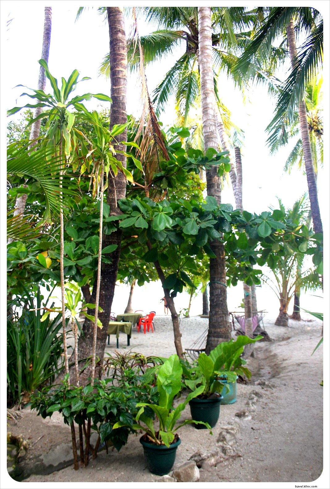 Consejo de la semana del hotel:Casa Valeria en Playa Samara, Costa Rica