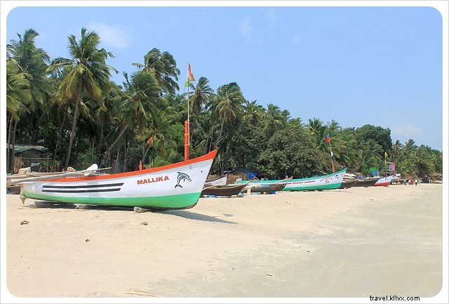 Explora más allá de la playa en Goa