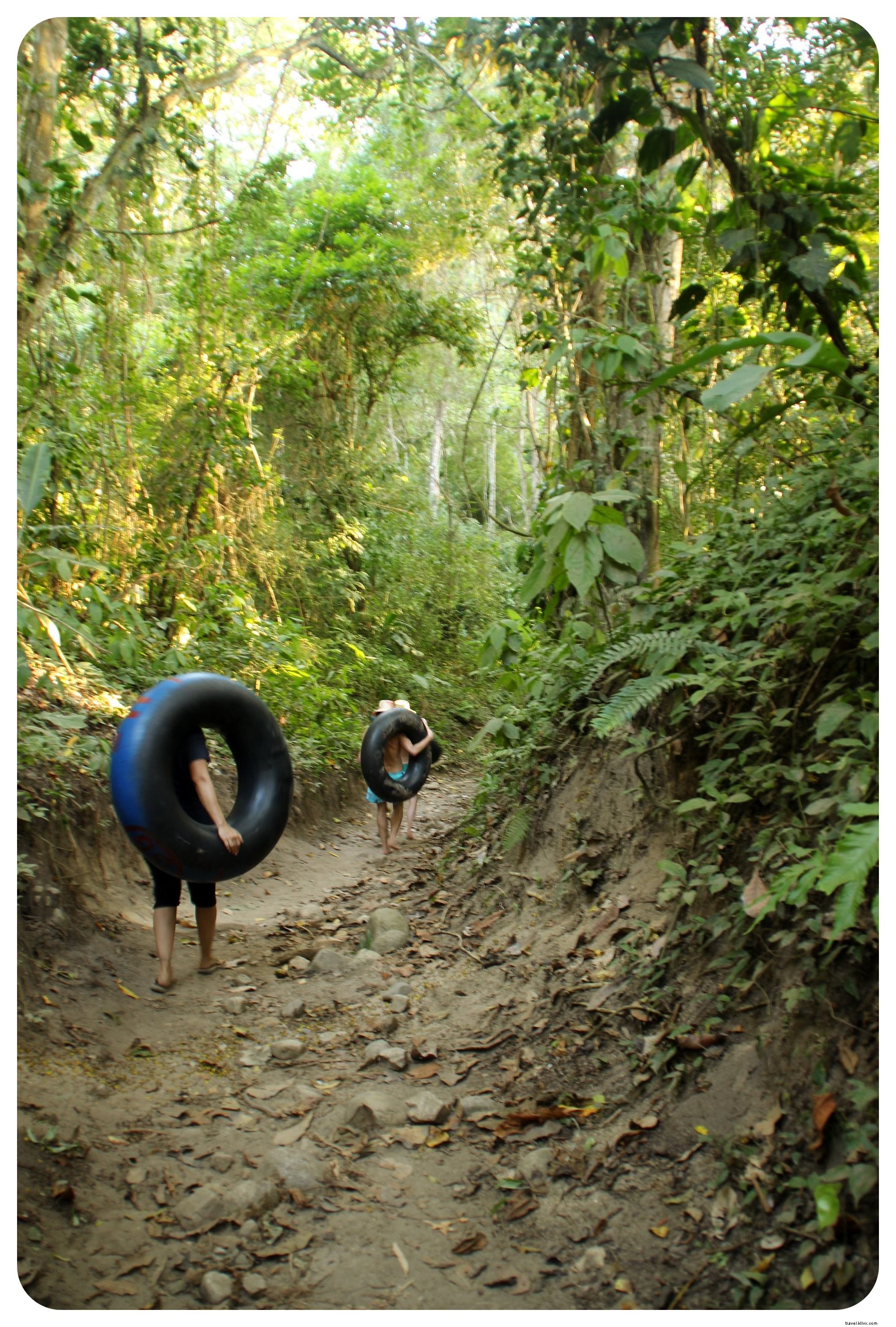 Vibraciones caribeñas y un susto gigante en Palomino, Colombia