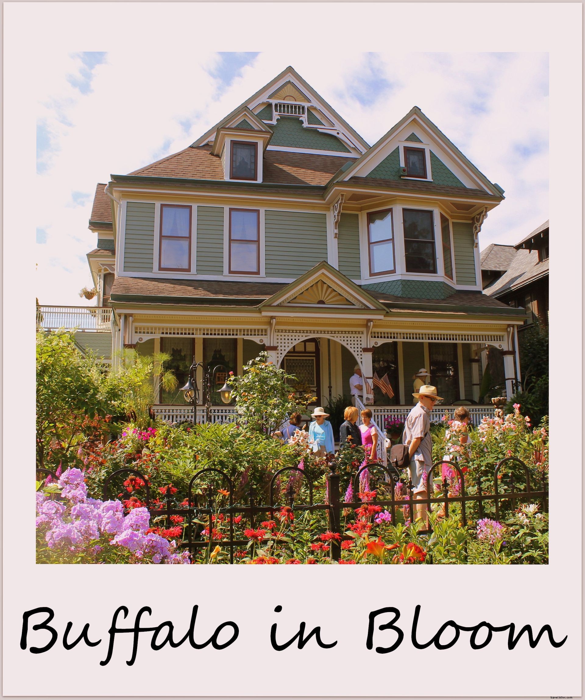 Polaroid de la semaine :Buffalo in Bloom