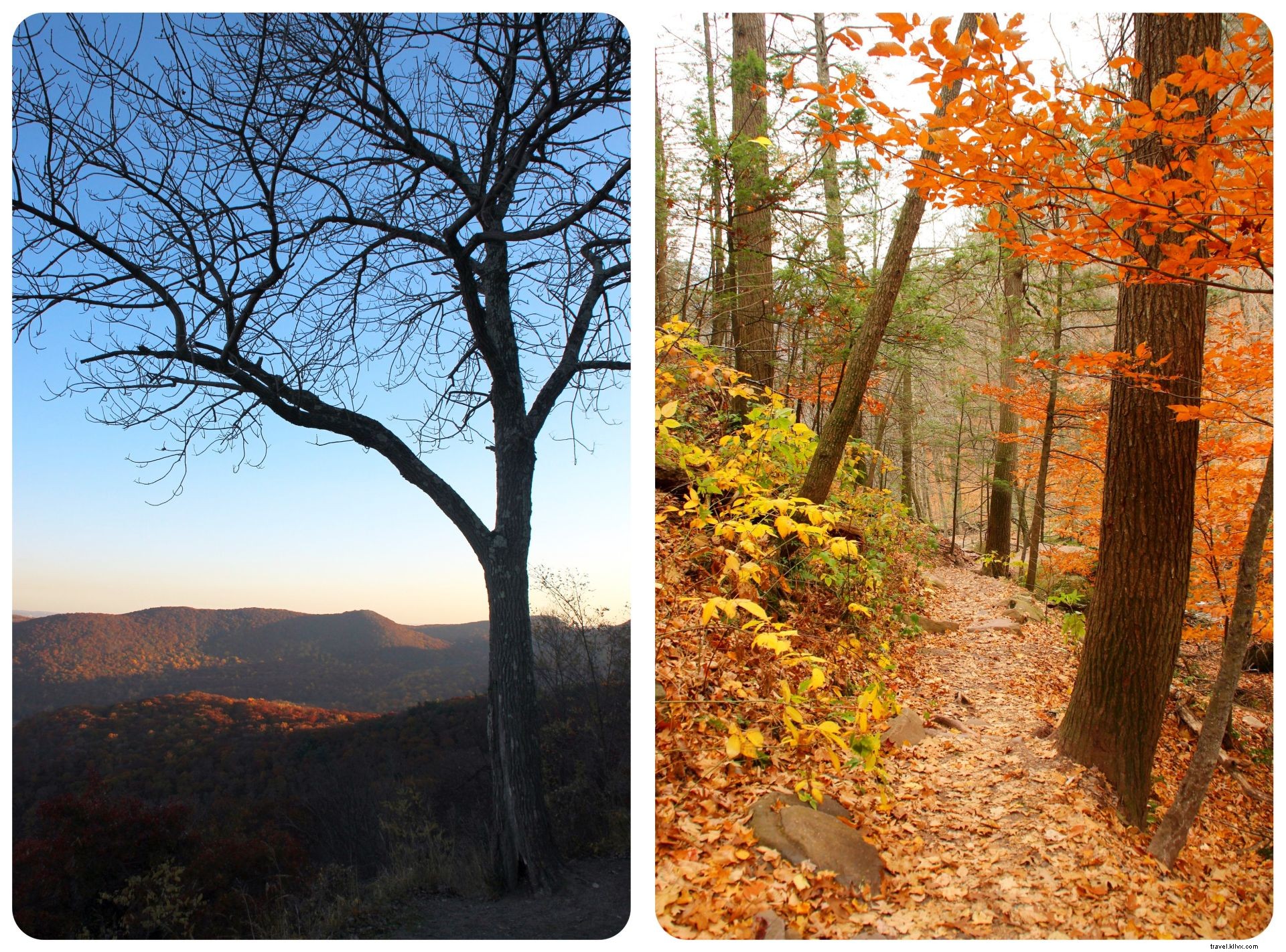 Choses amusantes à faire cet automne dans les montagnes enchantées de l ouest de New York