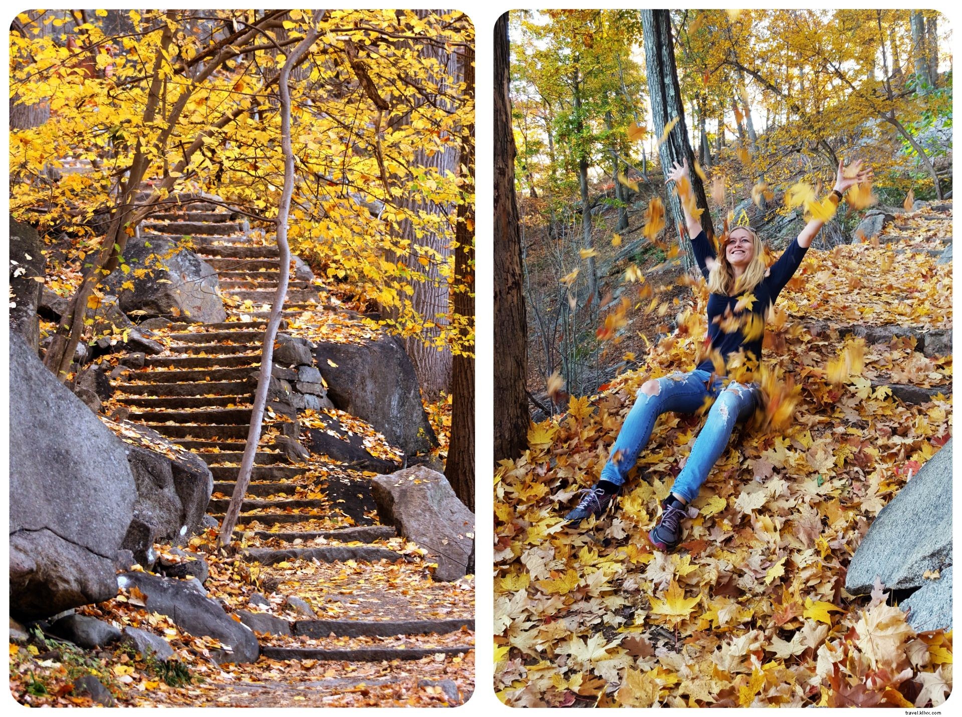 ニューヨーク西部の魅惑的な山々でこの秋にやるべき楽しいこと