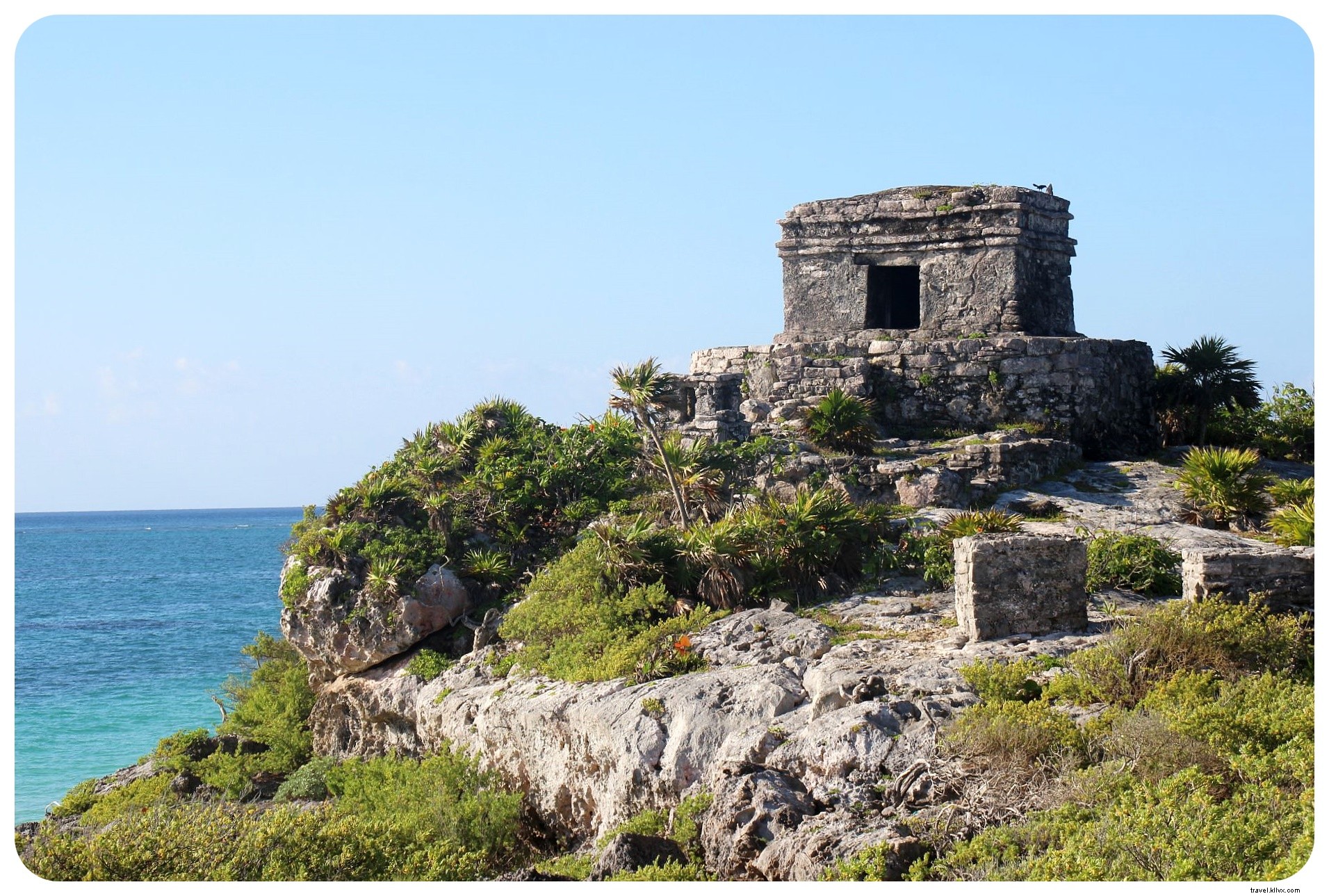 Cenote, Pantai &Reruntuhan Maya:Perjalanan Darat Yucatan Berbahan Bakar Taco