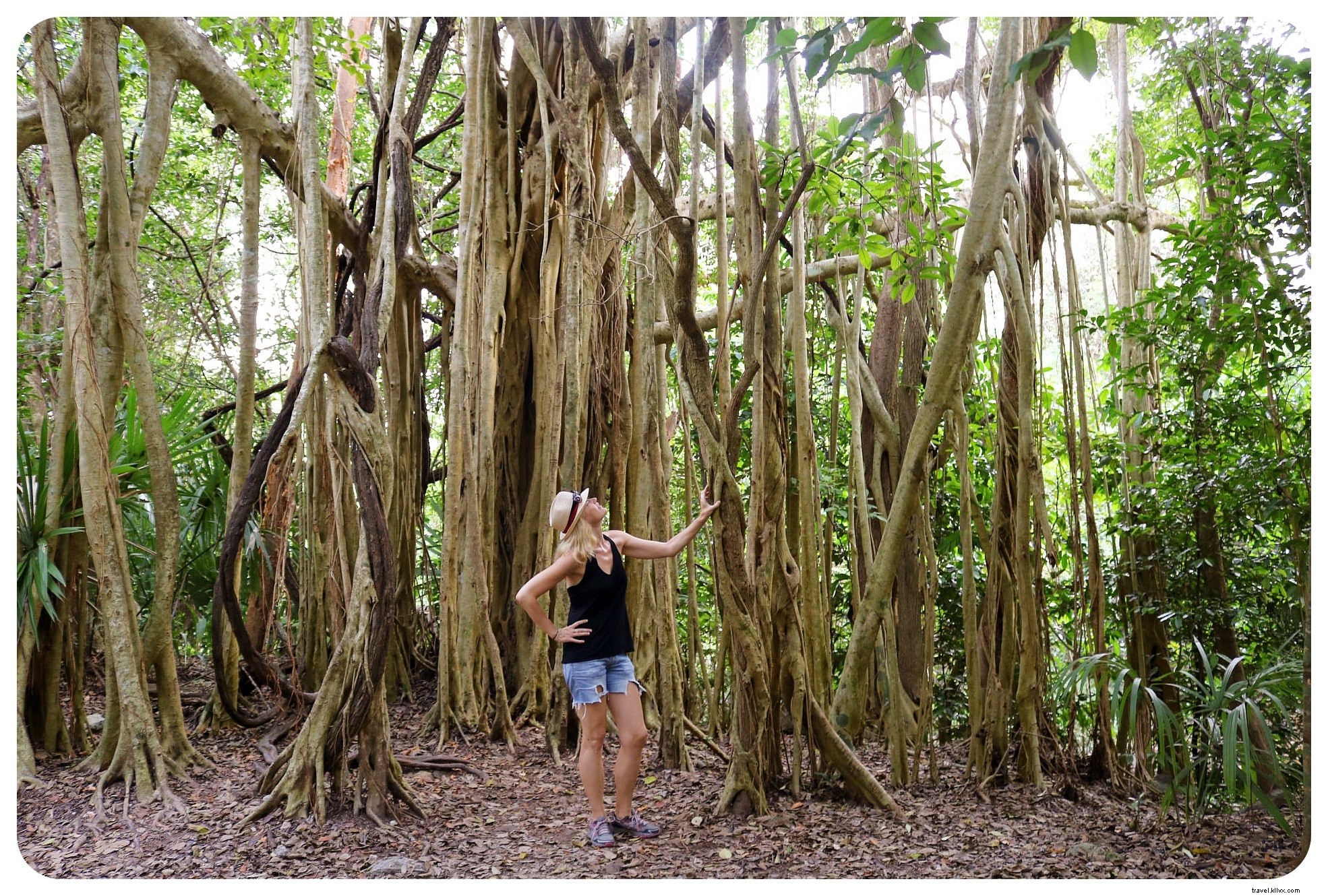 Cenotes, Praias e ruínas maias:uma viagem de carro movida a taco pelo Yucatan