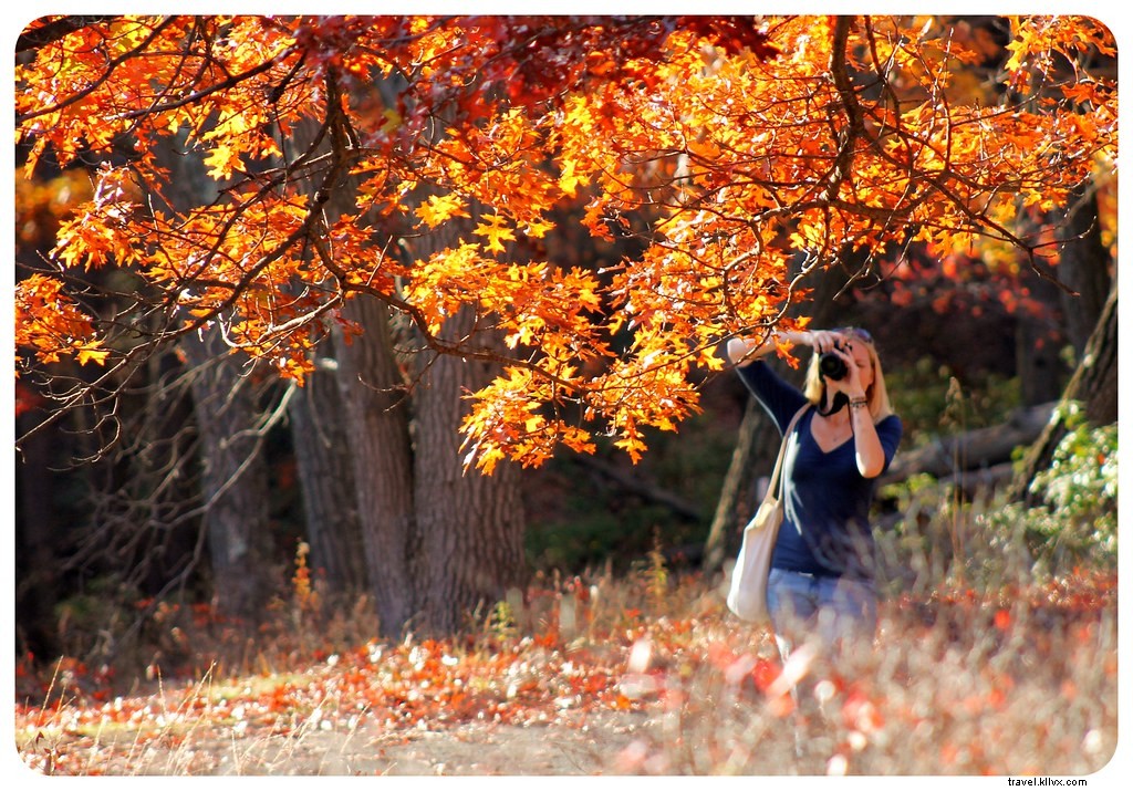 New York yang penuh warna:Perjalanan darat dedaunan musim gugur