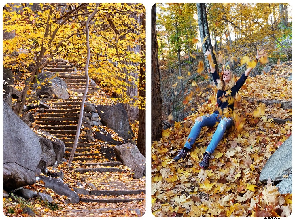 Nova York colorida:uma viagem pela folhagem de outono