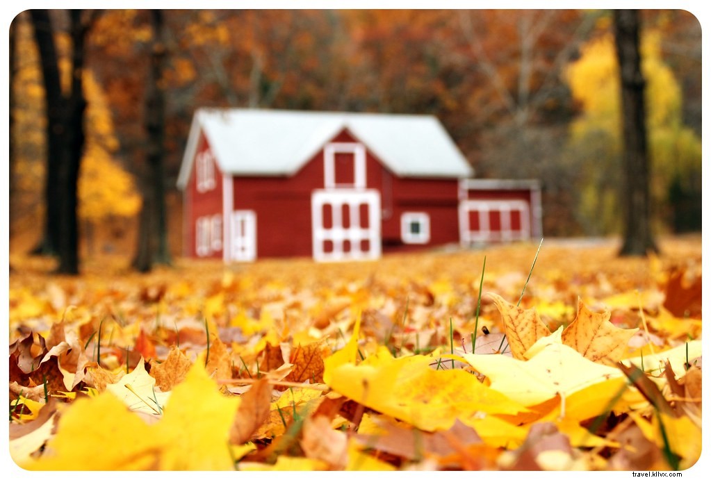 Les meilleurs endroits pour voir le feuillage d automne en Nouvelle-Angleterre