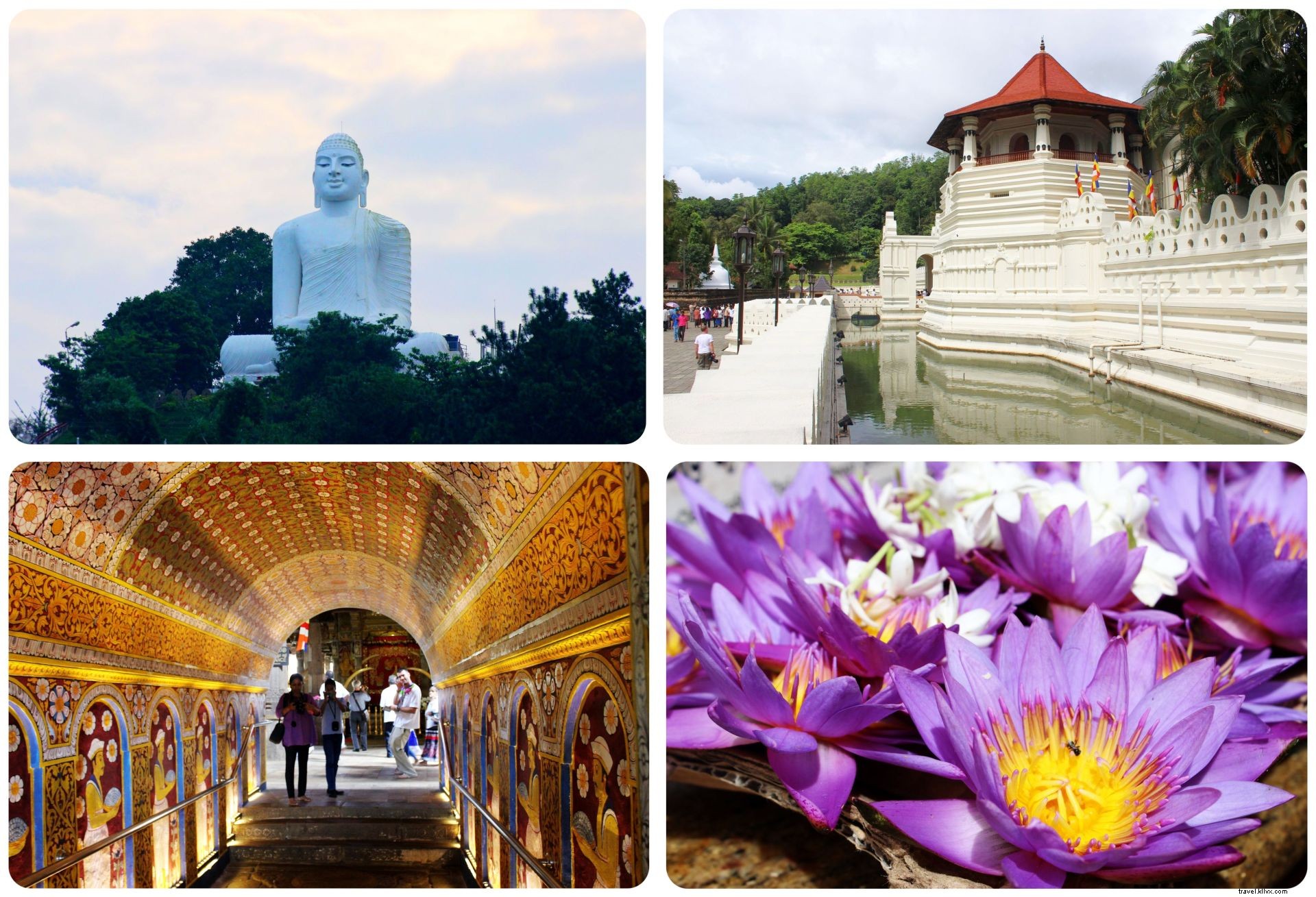 Dónde alojarse en Kandy, Sri Lanka:Theva Residency