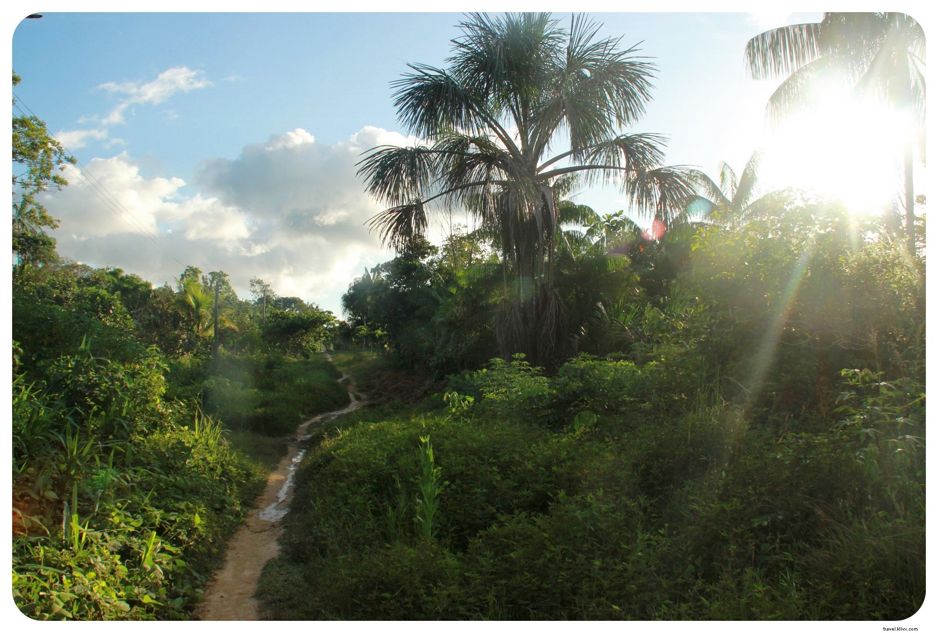 À la recherche de mes démons intérieurs dans la jungle colombienne :un rendez-vous avec l ayahuasca