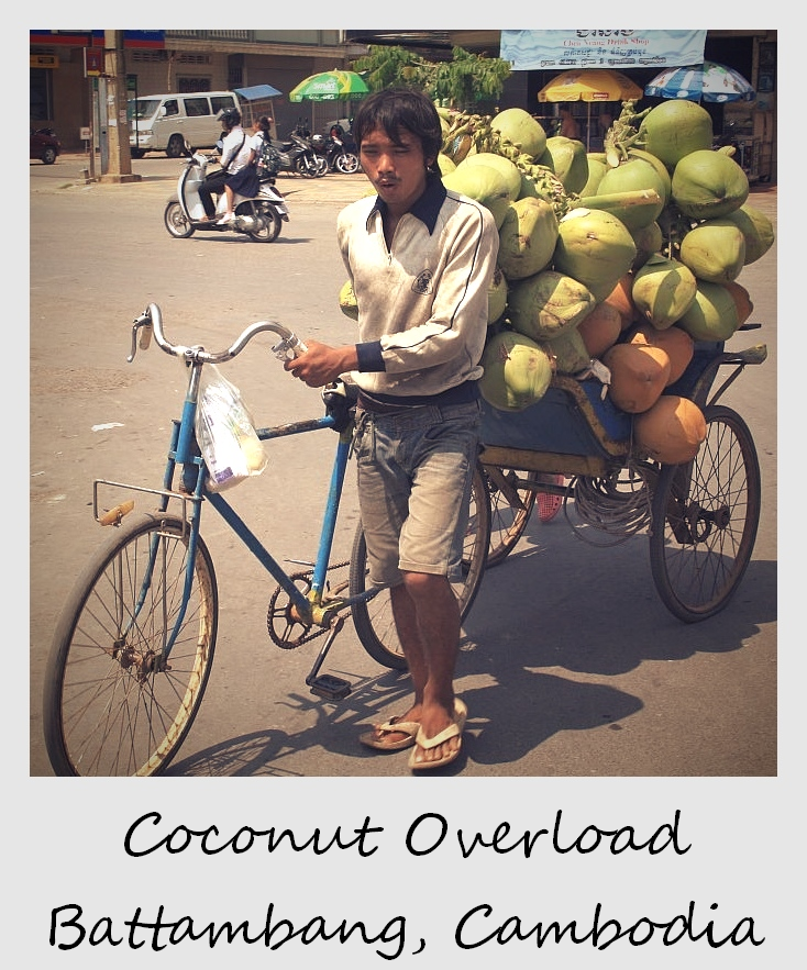 Polaroid della settimana:sovraccarico di cocco a Battambang, Cambogia