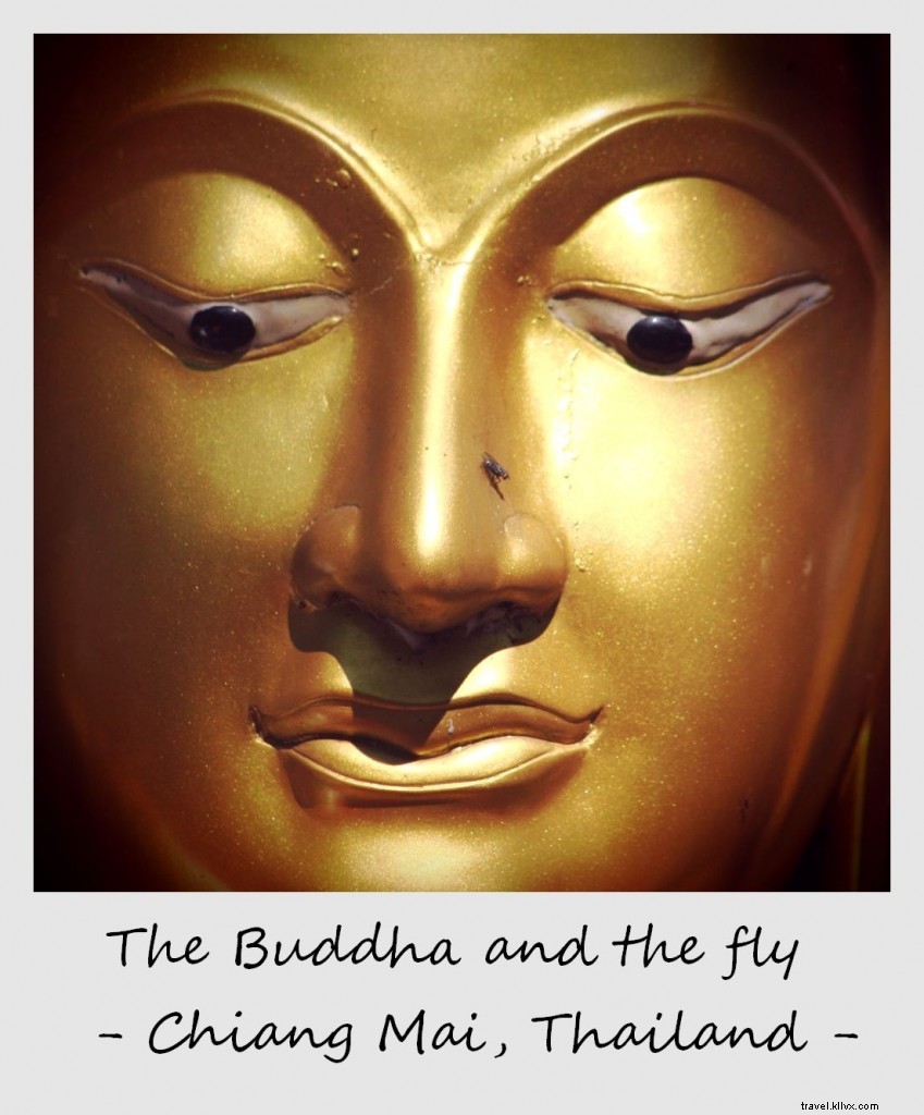Polaroid da semana:O Buda e a mosca | Chiang Mai, Tailândia