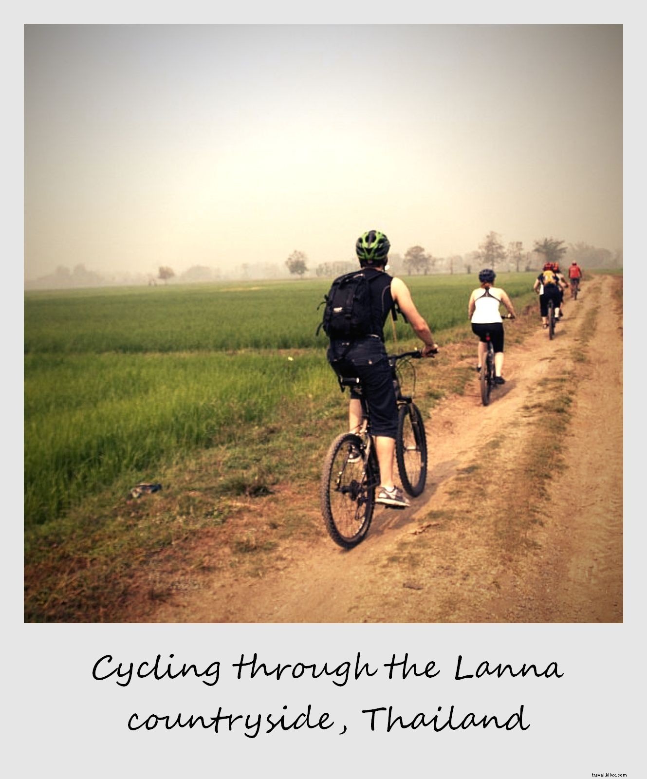 Polaroid della settimana:in bicicletta attraverso le risaie nel nord della Thailandia