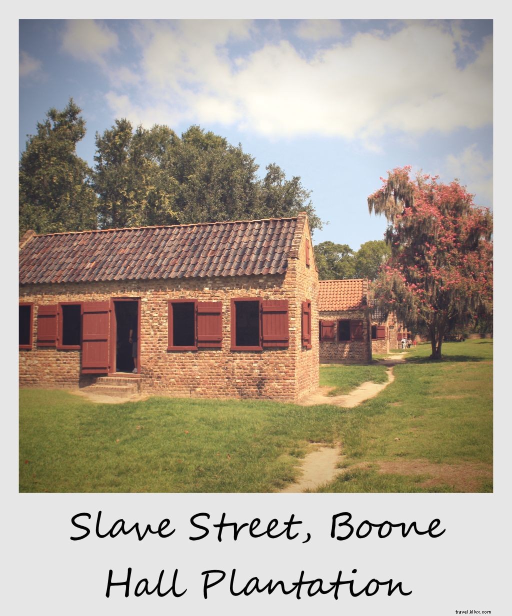 Polaroid de la semaine :Slave Street à Boone Hall Plantation