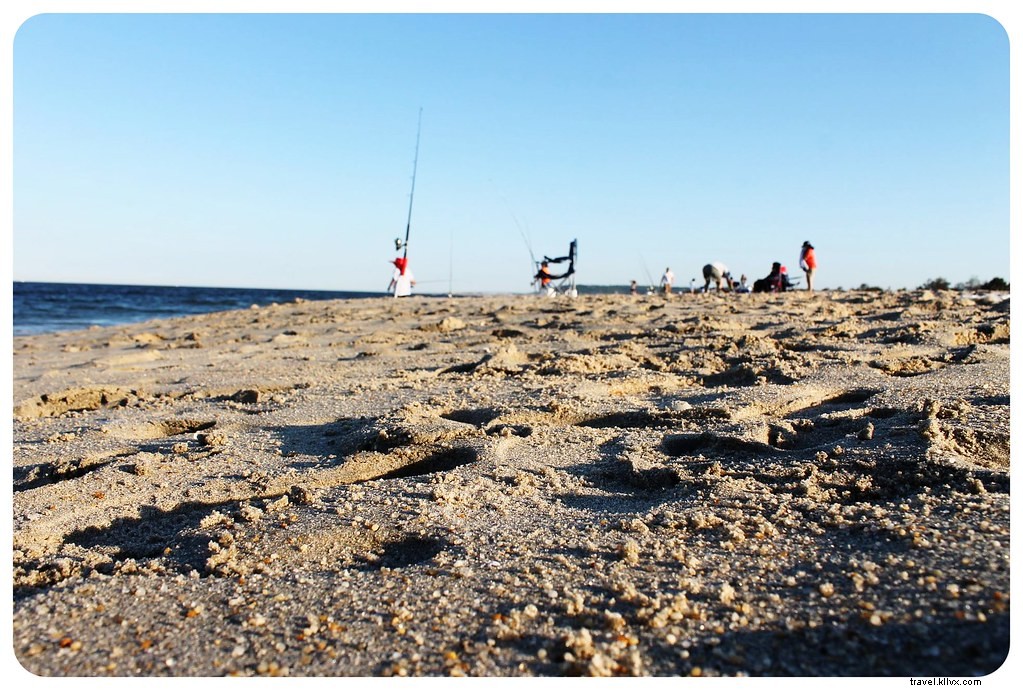 Sandy Hook :une escapade paradisiaque sur la plage de New York