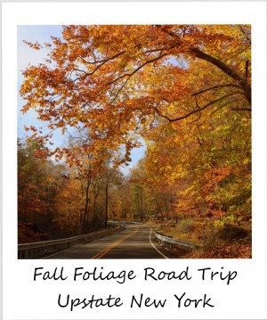 Polaroid da semana:uma viagem pela estrada para observar as folhas até o norte do estado de Nova York