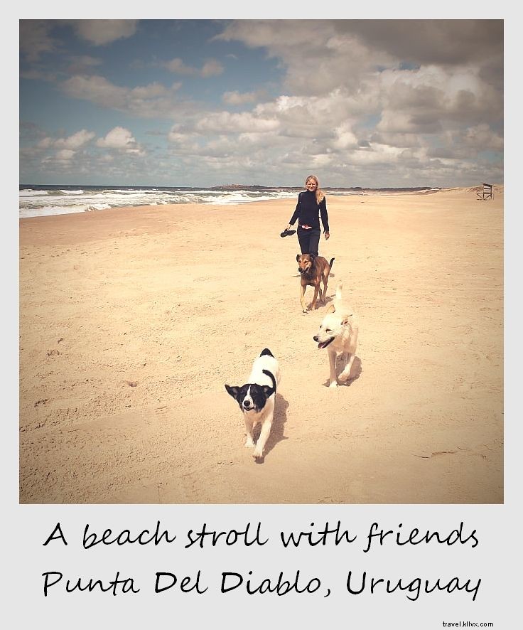 今週のポラロイド：プンタデルディアブロで友達とビーチを散歩、 ウルグアイ