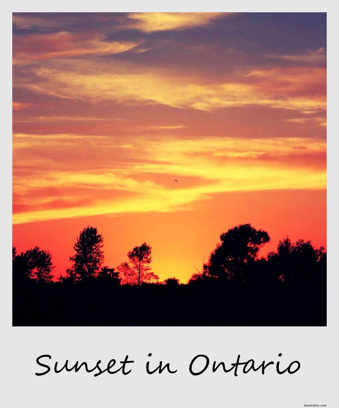 Polaroid minggu ini:Bioskop Matahari Terbenam di Ontario