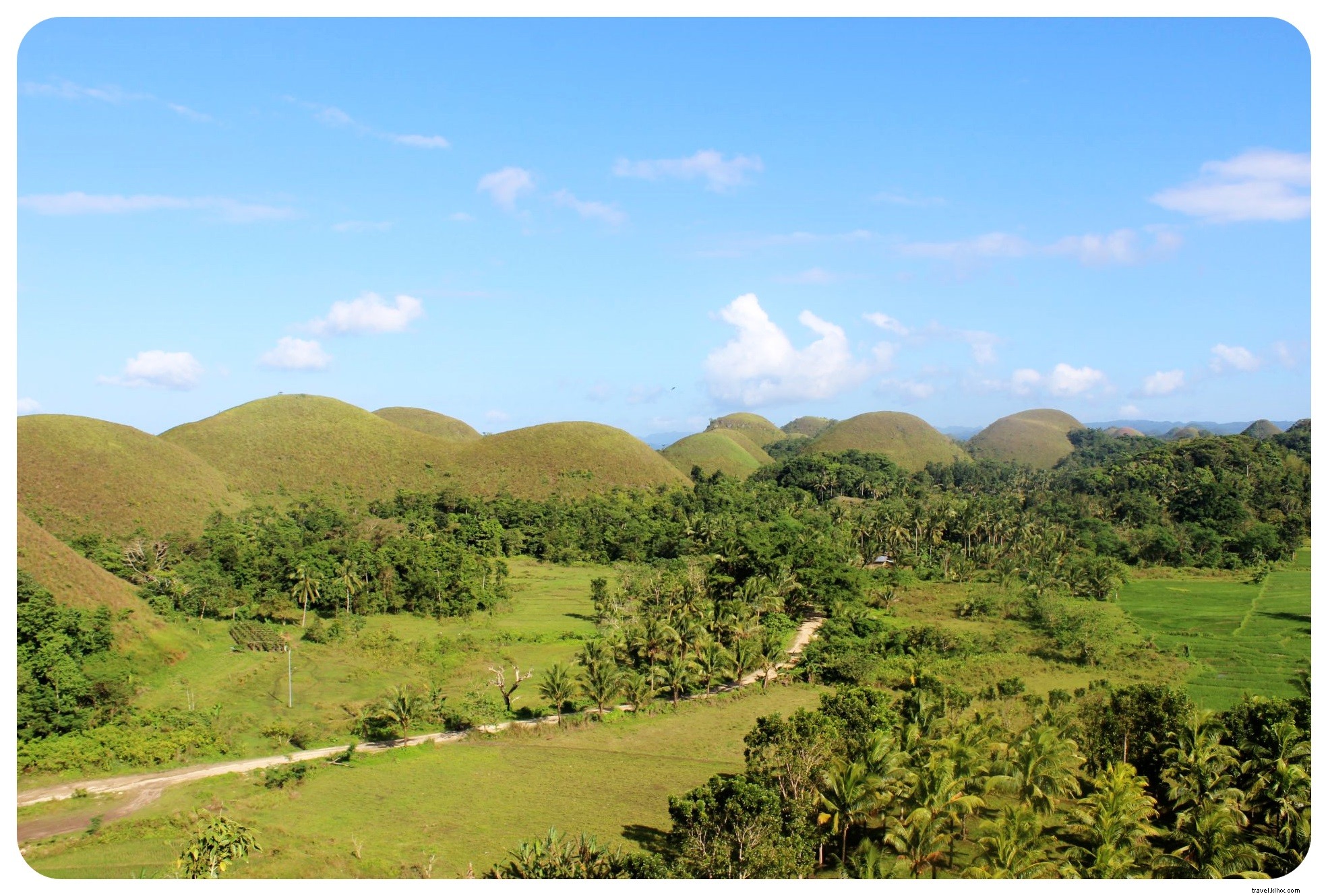 ボホール島のメガネザルとチョコレートの丘|フィリピン
