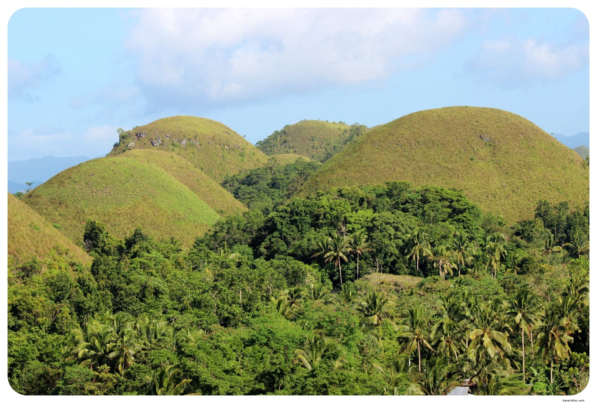 Tarsiers e colinas de chocolate em Bohol | As Filipinas