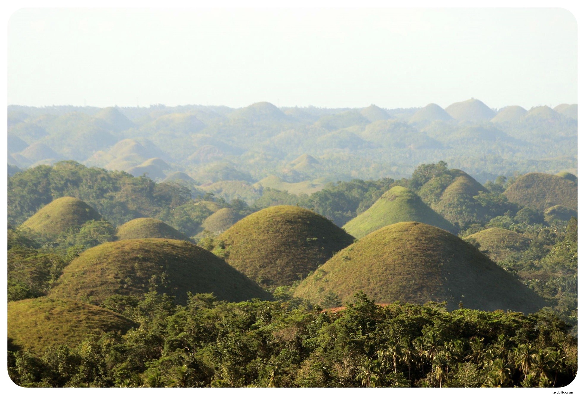 Tarsius dan bukit cokelat di Bohol | Orang Filipina
