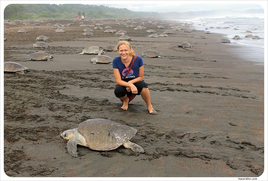 A marcha de um milhão de tartarugas:uma arribada na Costa Rica