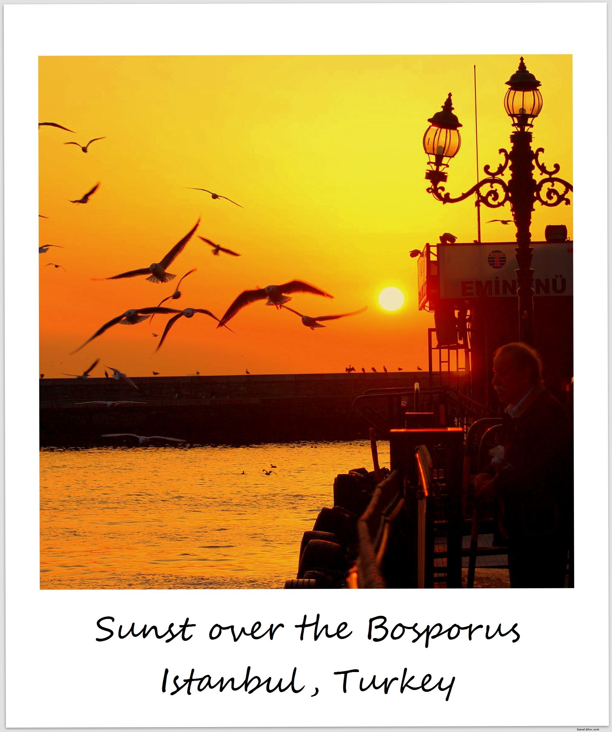 今週のポラロイド：ボスポラス海峡に沈む夕日|イスタンブール、 七面鳥