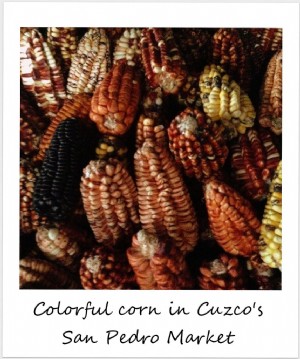 今週のポラロイド：サンペドロマーケットのカラフルなトウモロコシ、 クスコ、 ペルー