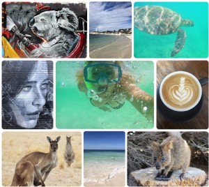 Meus seis principais destaques de viagens na Austrália