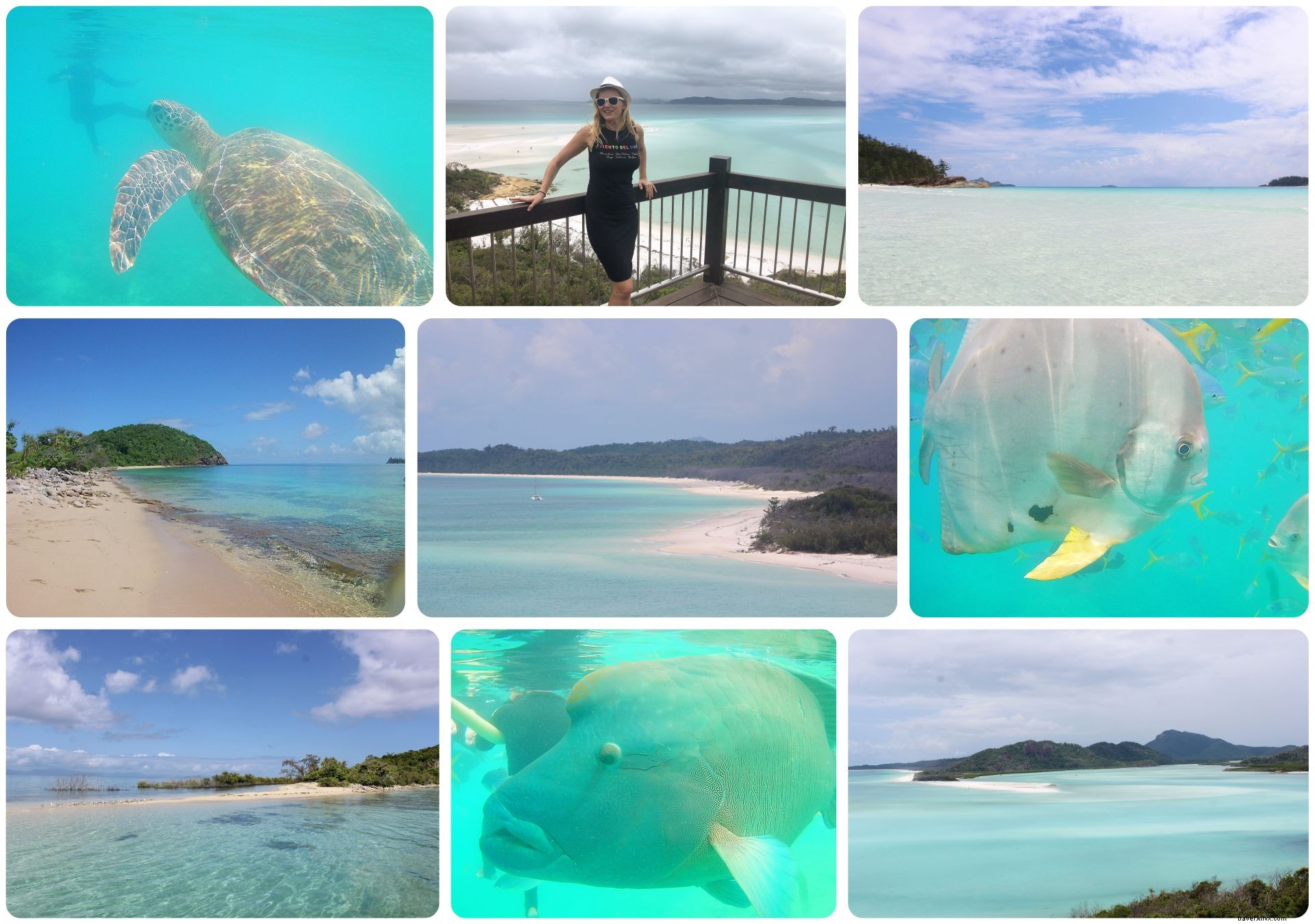Mes six meilleurs moments de voyage en Australie