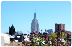 28 cose da fare a New York in estate