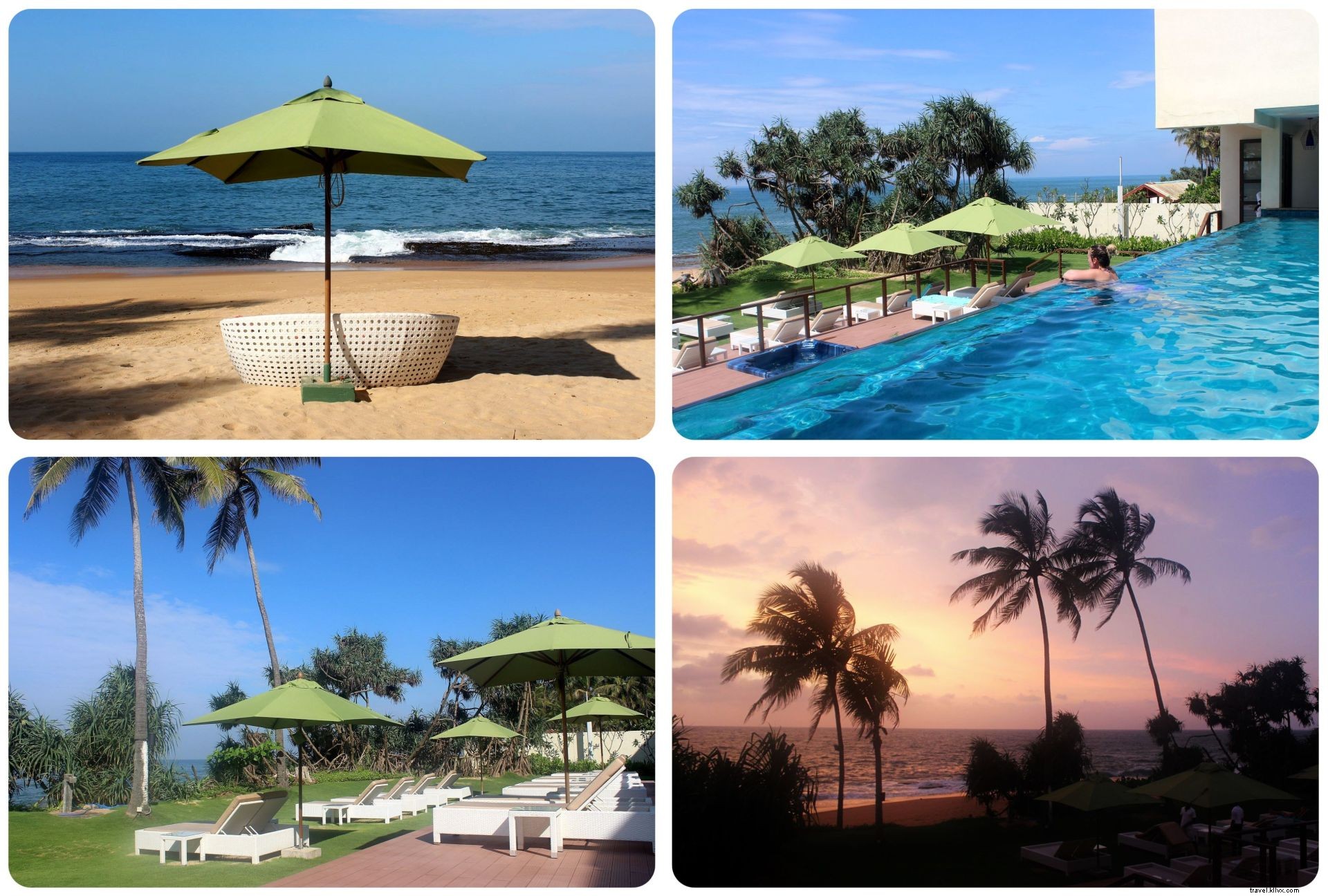 Tempat menginap di Negombo, Sri Lanka:The Reefs Edge Hotel