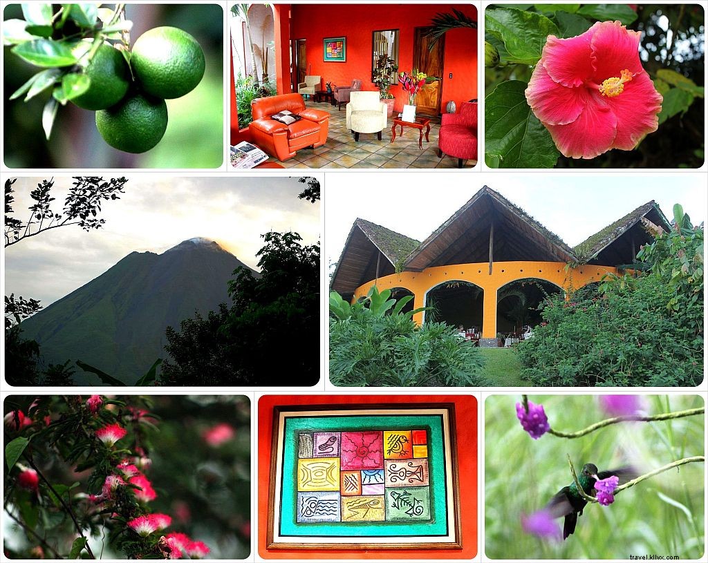 Conseil d hôtel de la semaine :Mountain Paradise Hotel | La Fortuna, Costa Rica