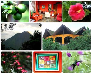 Dica de hotel da semana:Mountain Paradise Hotel | La Fortuna, Costa Rica