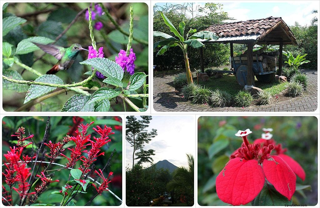 Sugerencia hotelera de la semana:Mountain Paradise Hotel | La Fortuna, Costa Rica