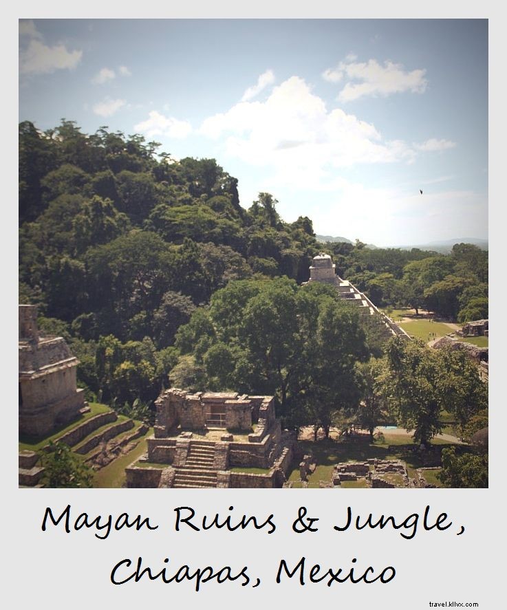 今週のポラロイド：ジャングルのマヤ遺跡、 チアパス、 メキシコ