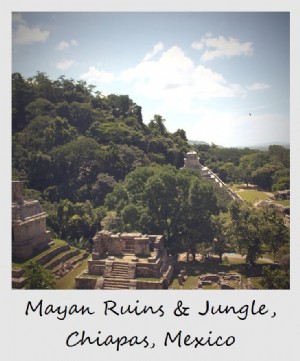 Polaroid de la semaine :Ruines mayas dans la jungle, Chiapas, Mexique