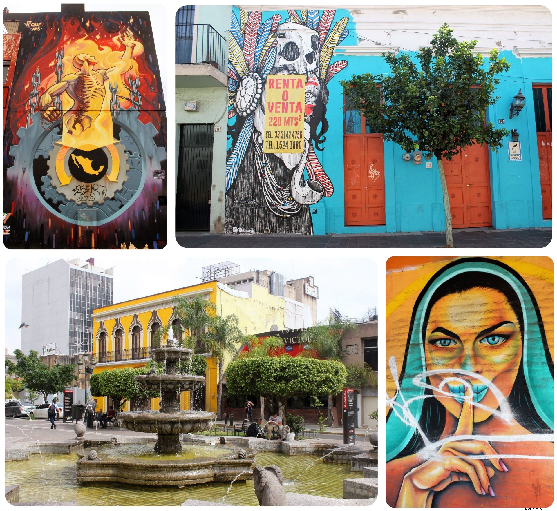 Tequila, Seni dan Mariachis:Mengalami Meksiko Nyata di Guadalajara