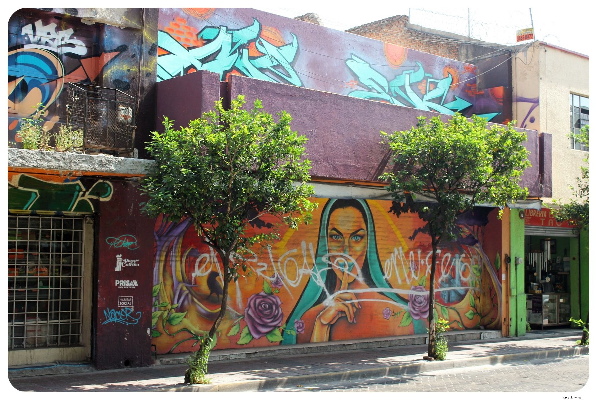 Tequila, Seni dan Mariachis:Mengalami Meksiko Nyata di Guadalajara