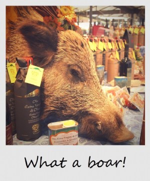 Polaroid minggu ini:Sungguh babi hutan di Lucca, Italia