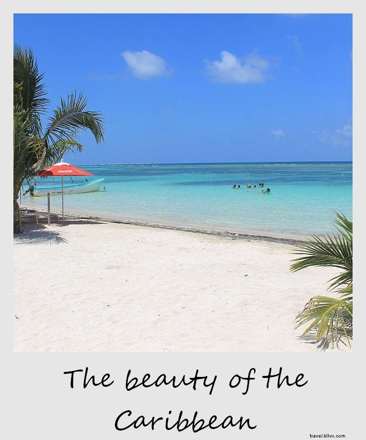 今週のポラロイド：カリブ海の美しさ