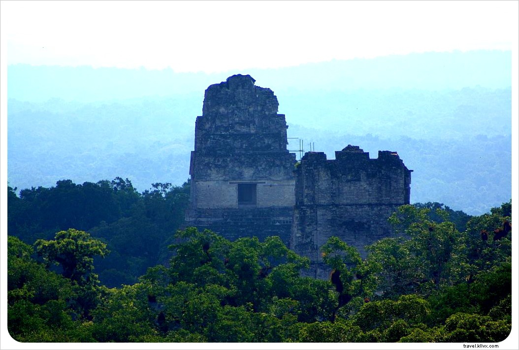 Tre siti Maya da non perdere in America Centrale