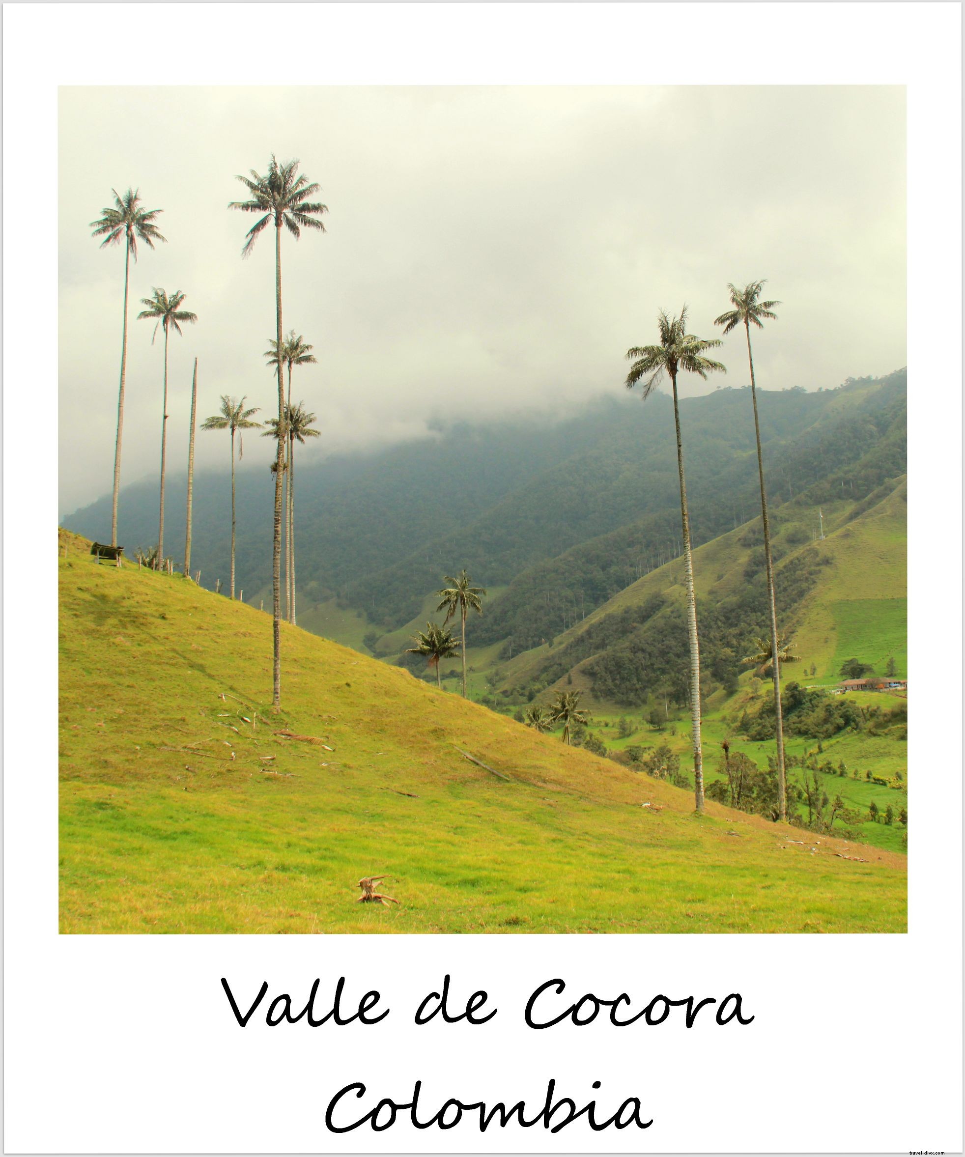Polaroid de la semaine :la magnifique Valle De Cocora en Colombie