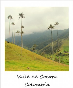 Polaroid de la semaine :la magnifique Valle De Cocora en Colombie