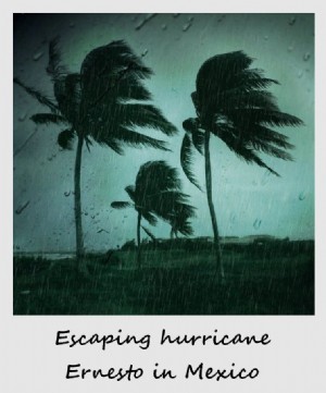 Polaroid minggu ini:Melarikan diri dari badai Ernesto di Meksiko
