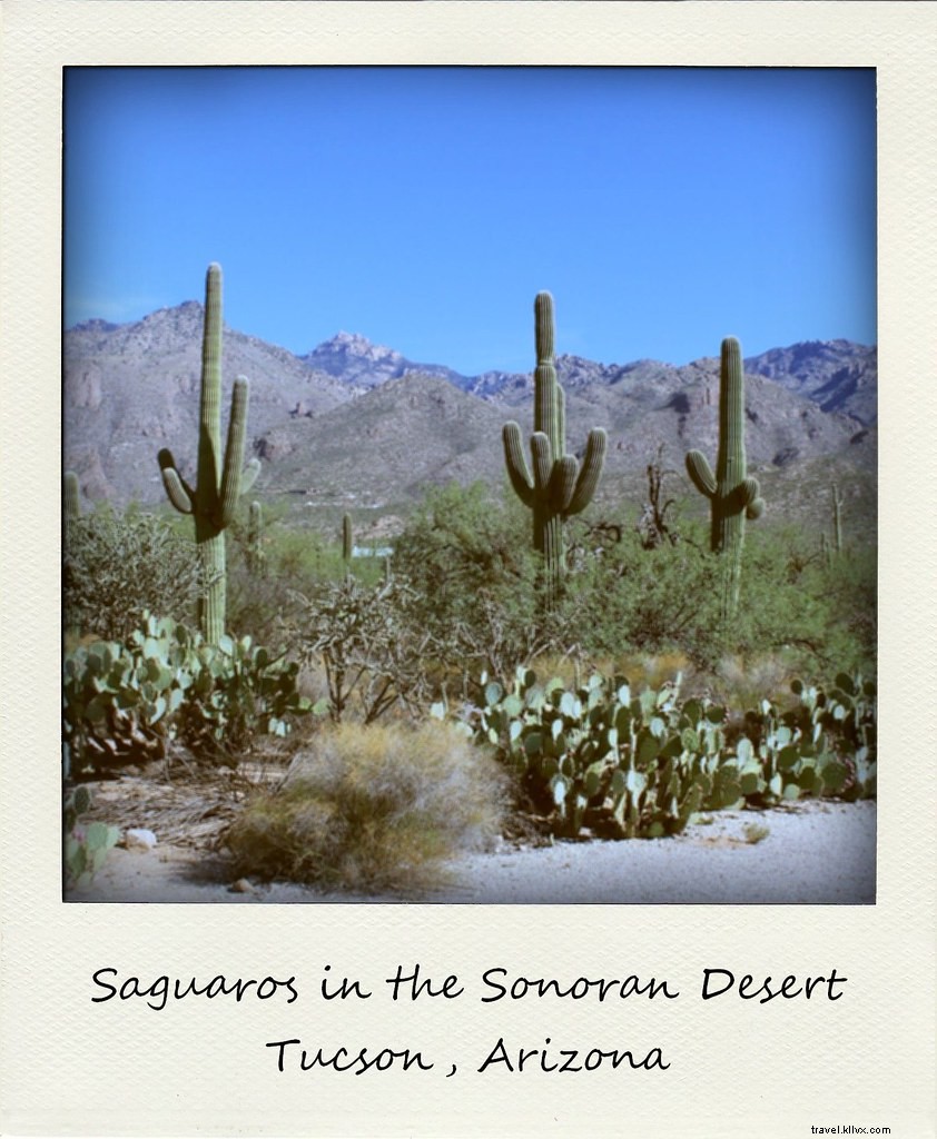 Polaroid minggu ini:Selamat tinggal, Arizona!