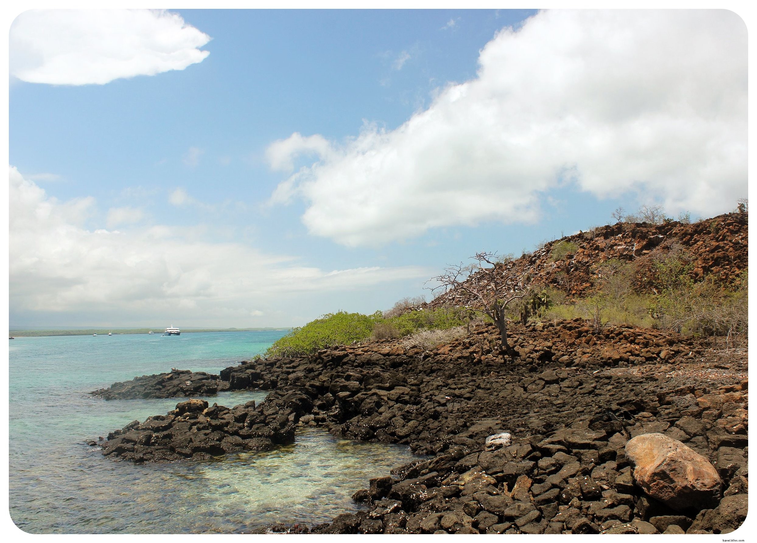 私のガラパゴス諸島クルーズ：旅行の夢が叶う