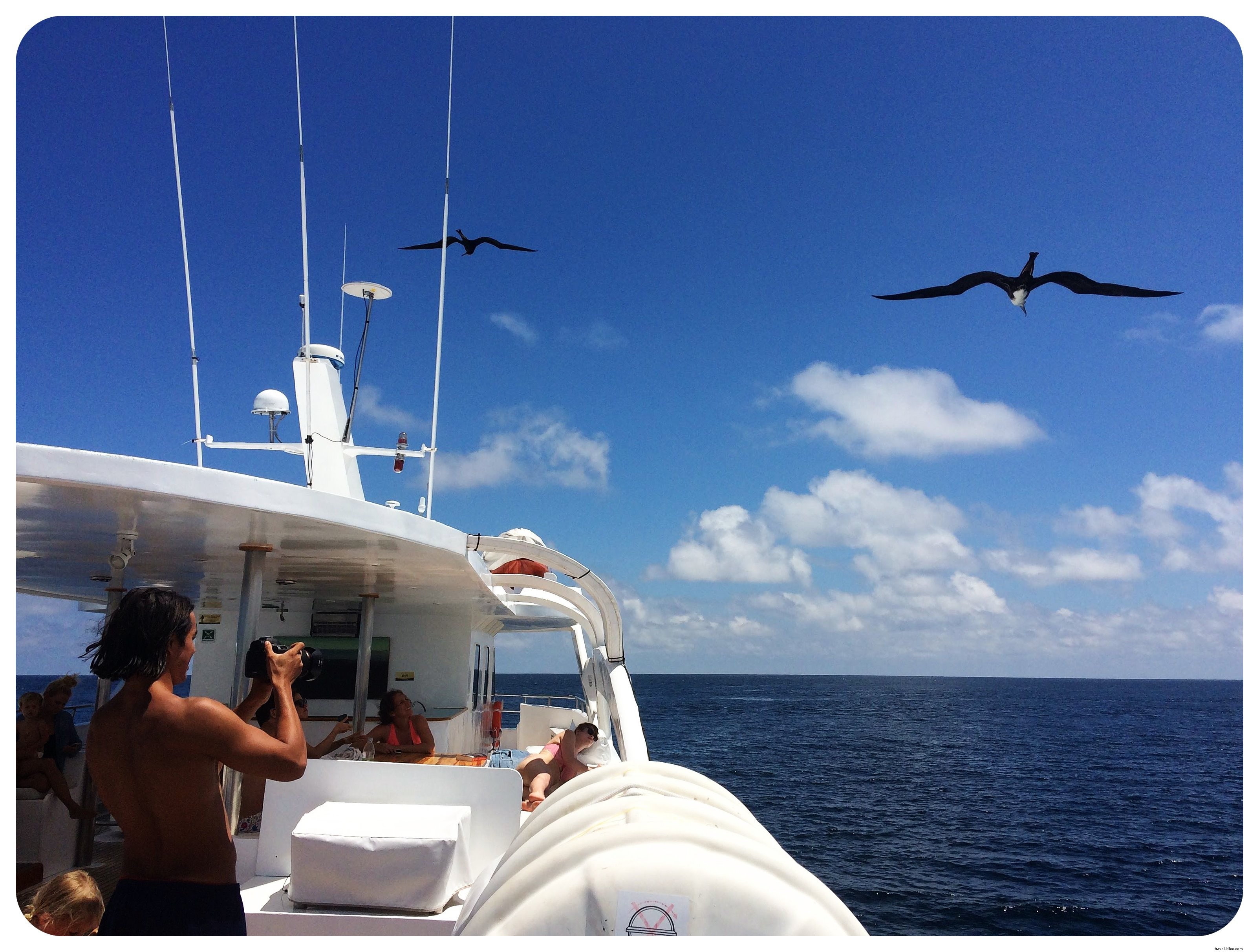 Mi crucero por las islas Galápagos:un viaje de ensueño hecho realidad